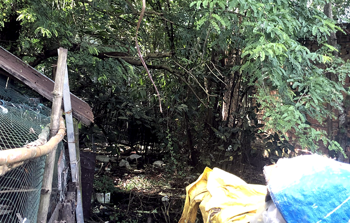 Cần trả lại hiện trạng ban đầu của dòng kênh