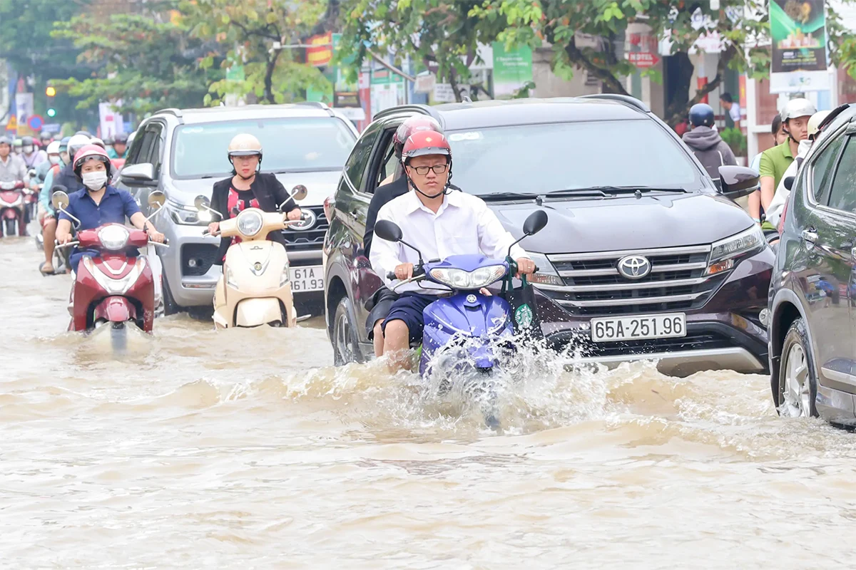 Mưa giông làm cây xà cừ bật gốc, đổ chắn ngang đường Cách mạng Tháng Tám