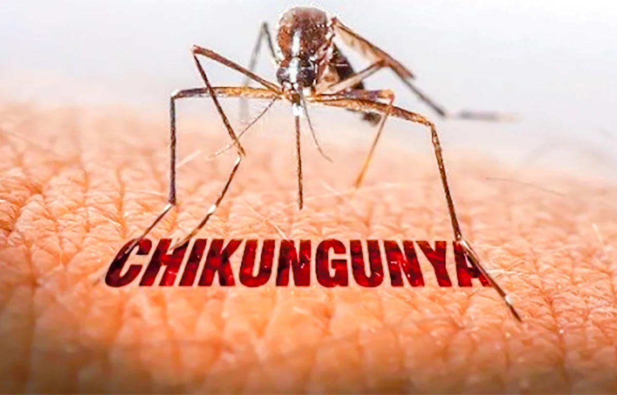 Biến đổi khí hậu làm gia tăng các bệnh truyền nhiễm trên toàn thế giới