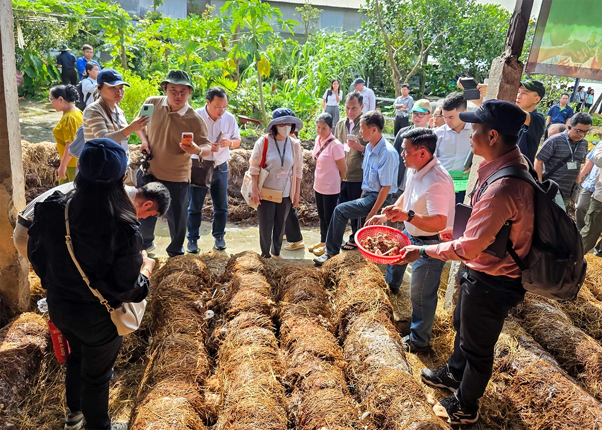 Hơn 150 nông dân và đại biểu đến từ các quốc gia ASEAN tham quan mô hình kinh tế tuần hoàn từ rơm tại HTX Tiến Thuận