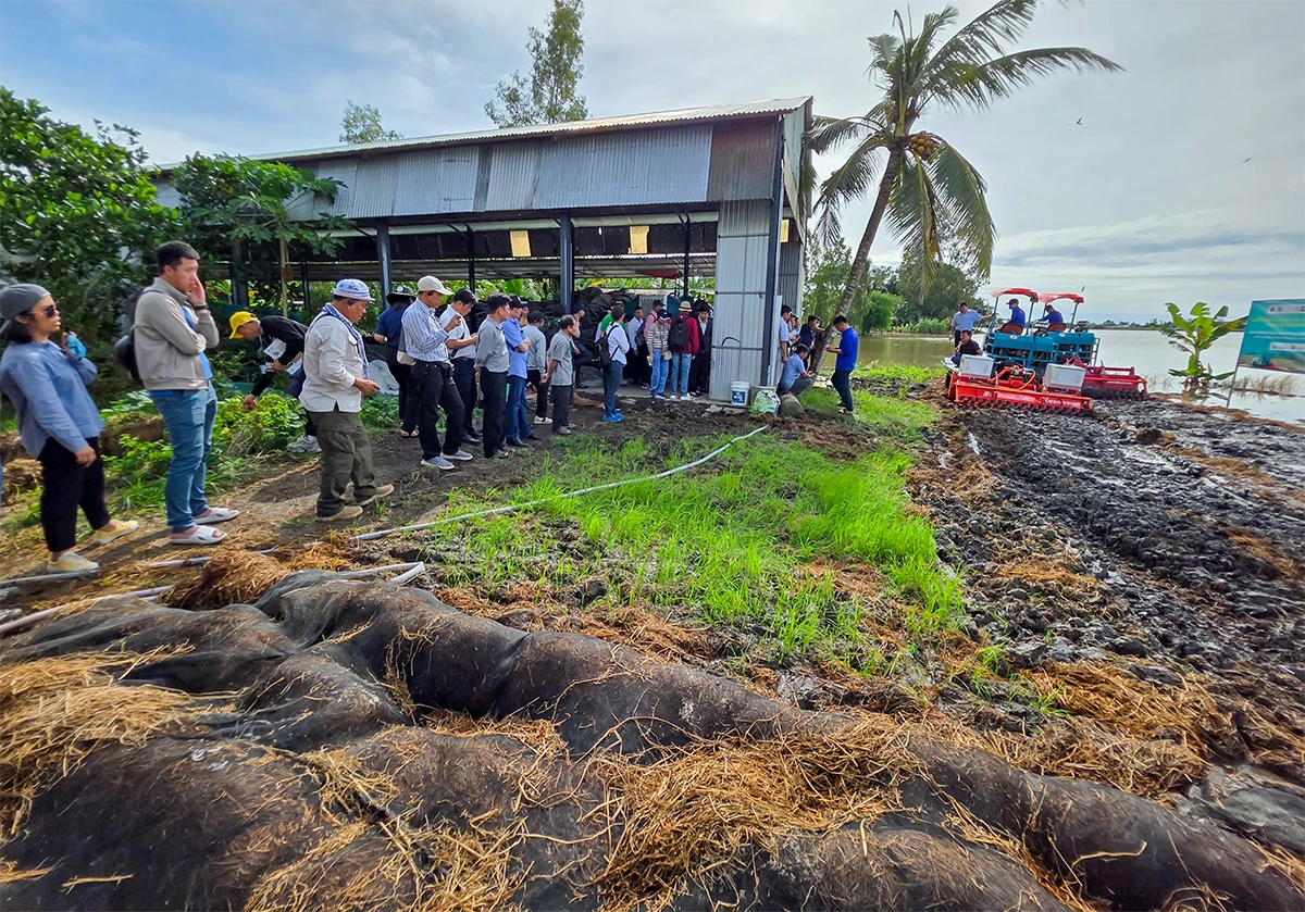Hơn 150 nông dân và đại biểu đến từ các quốc gia ASEAN tham quan mô hình kinh tế tuần hoàn từ rơm tại HTX Tiến Thuận
