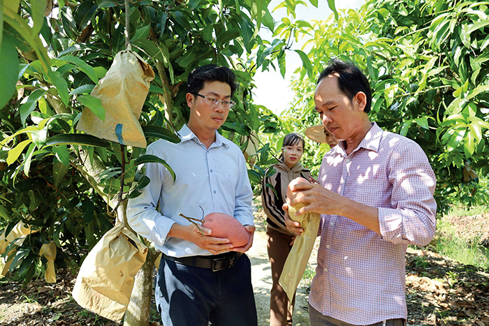 Tư duy làm kinh tế nông nghiệp
