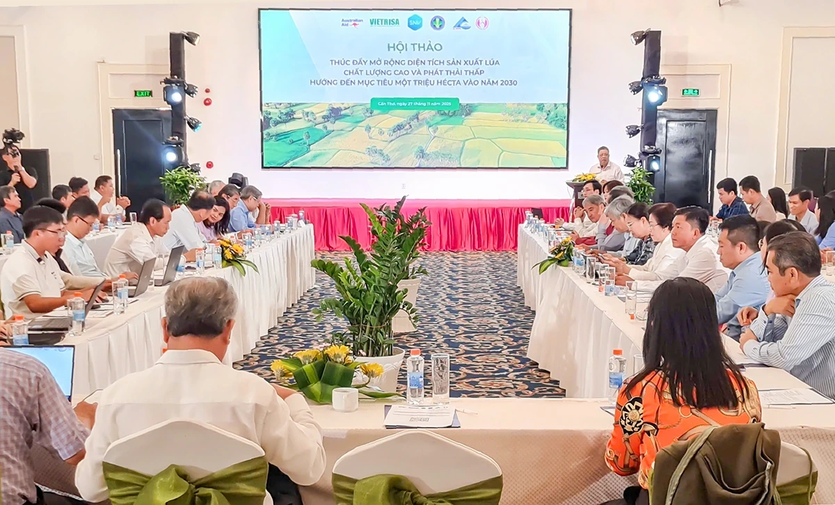 Thúc đẩy mở rộng diện tích sản xuất lúa chất lượng cao và phát thải thấp