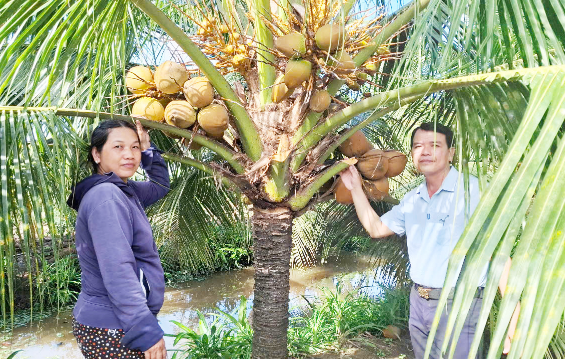 ចលនាកសិករផលិតនិងធ្វើអាជីវកម្មពូកែ រួមចំណែកអភិវឌ្ឍន៍សេដ្ឋកិច្ចនៅភូមិភាគ