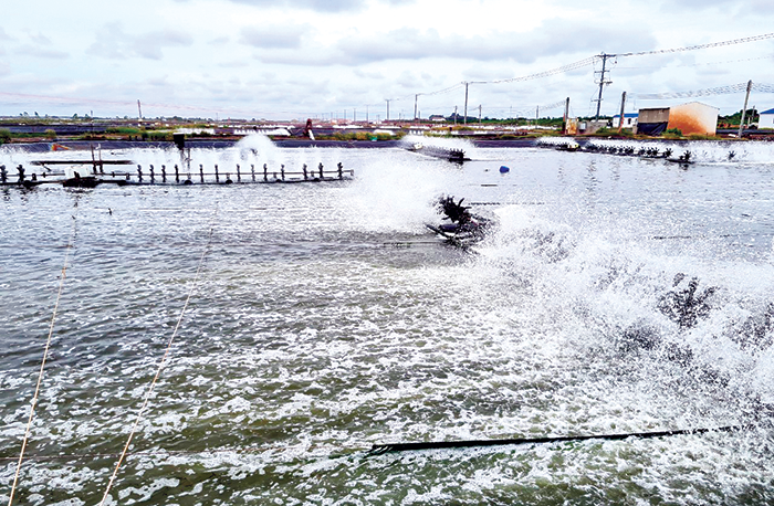 Khai thác tốt tiềm năng, lợi thế, đưa kinh tế - xã hội phát triển