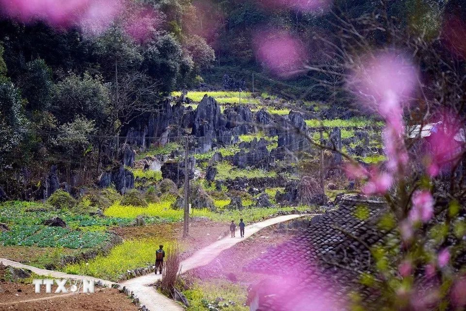 Cao nguyên đá Đồng Văn - Điểm đến văn hóa hàng đầu thế giới 2025