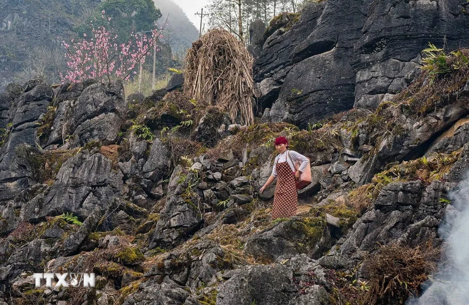 Cao nguyên đá Đồng Văn - Điểm đến văn hóa hàng đầu thế giới 2025