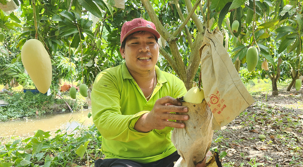 Phấn đấu có ít nhất 6 xã đạt chuẩn nông thôn mới