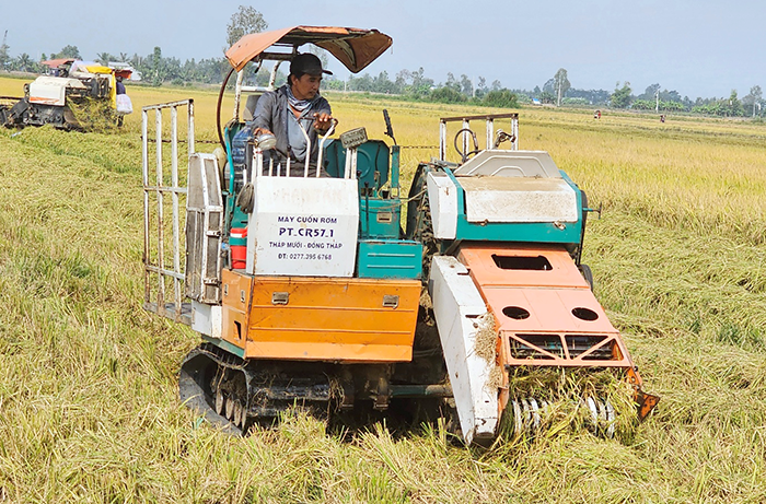 Hợp tác với Nhật Bản phát triển vùng lúa chất lượng cao, phát thải thấp tại ĐBSCL
