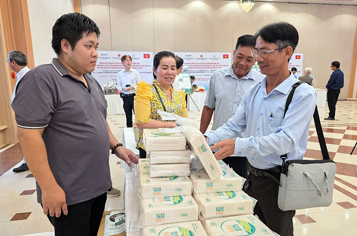 Hợp tác với Nhật Bản phát triển vùng lúa chất lượng cao, phát thải thấp tại ĐBSCL