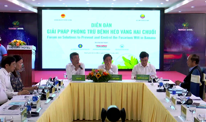 Bàn giải pháp thúc đẩy phát triển sản xuất chuối bền vững