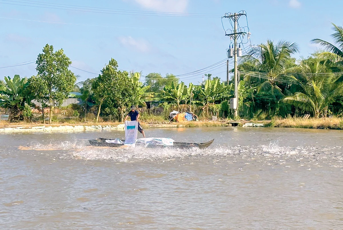 Chú trọng phát triển nuôi trồng thủy sản chủ lực