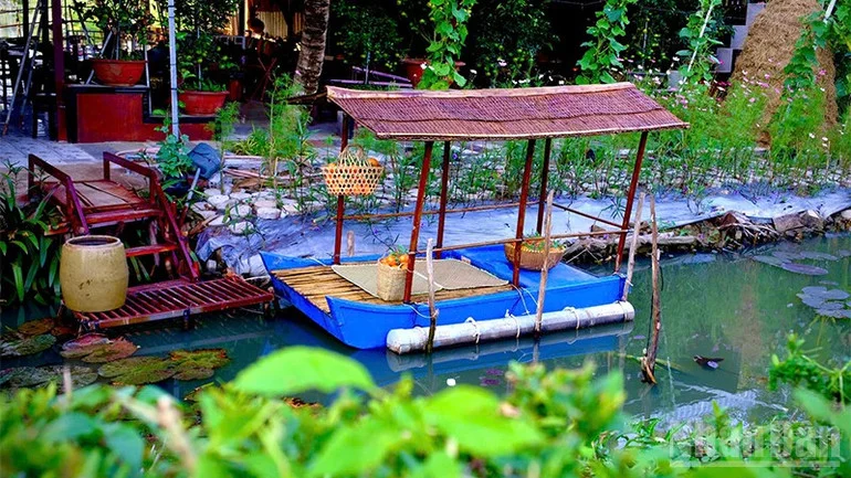 Quýt hồng vào mùa đẹp nhất năm, mở cửa đón khách