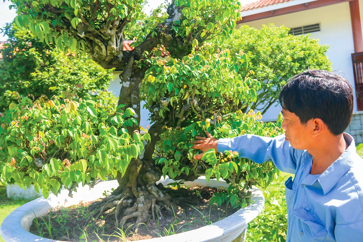 Mộ Cụ Phó bảng Nguyễn Sinh Sắc - Di tích quốc gia đặc biệt