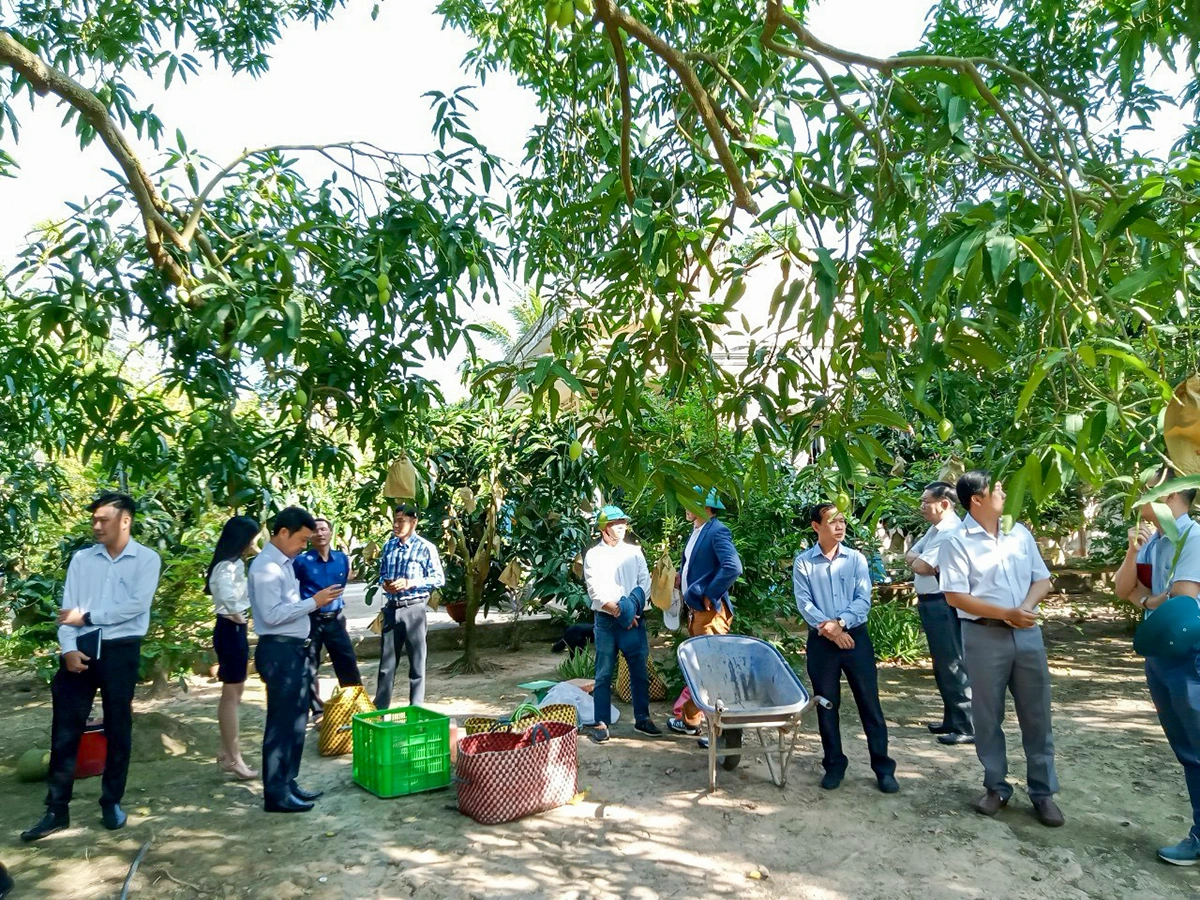 Xã An Thạnh gặt hái nhiều kết quả ngay từ năm đầu thực hiện Nghị quyết