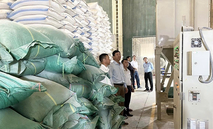 Bài 4: Chính sách hưởng bảo hiểm và các biện pháp phòng ngừa bệnh nghề nghiệp