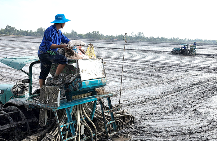 Cần Thơ tổ chức “Ngày hội nông dân bón phân đúng”