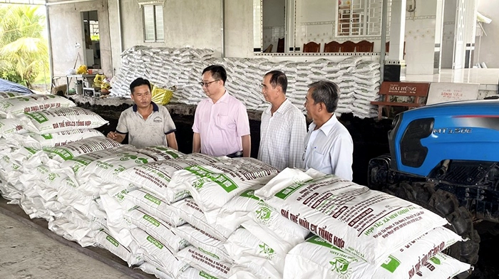 Đa dạng hình thức giải quyết việc làm