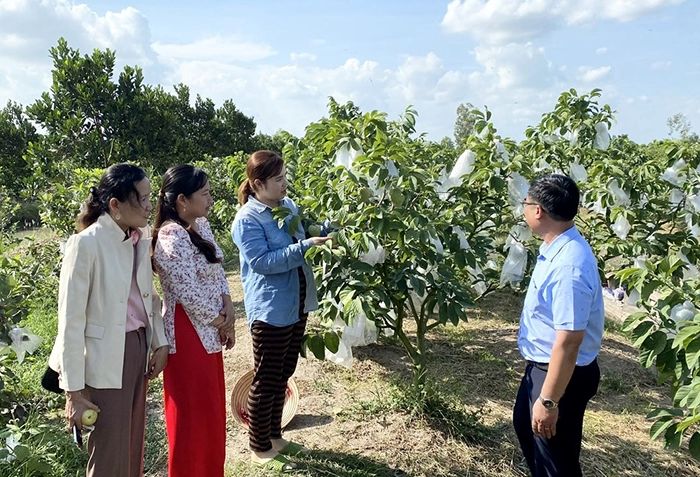 Đa dạng hình thức giải quyết việc làm