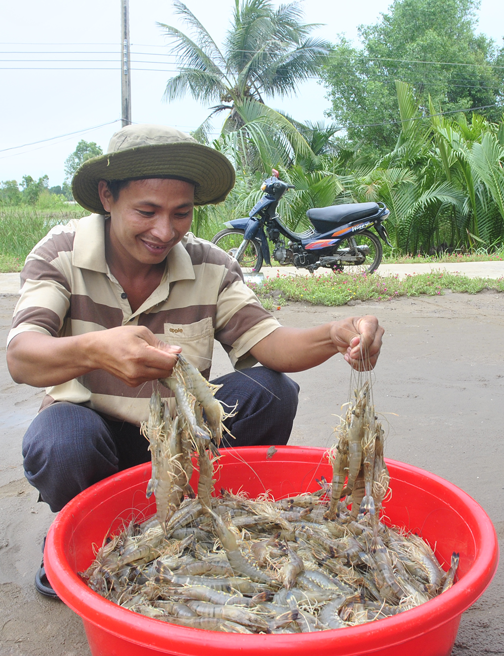 Ngành tôm vượt thắng