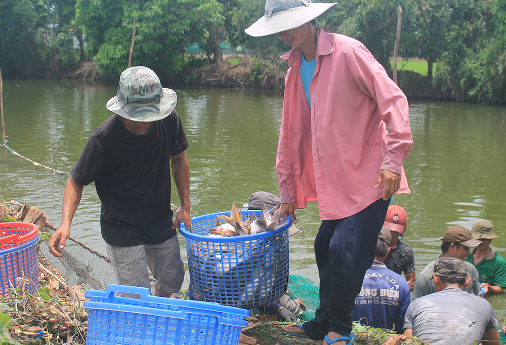 Phấn đấu tổng sản lượng thủy sản cả năm 2026 đạt 10 triệu tấn
