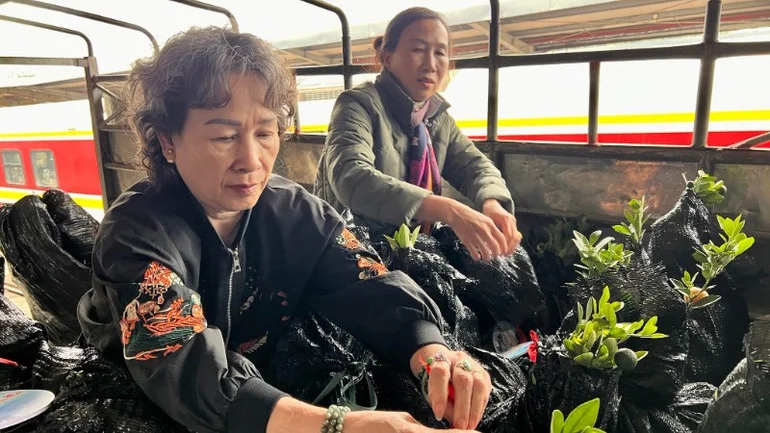 Những chuyến tàu chở mùa xuân từ đất liền ra đảo