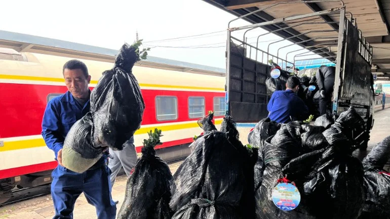 Những chuyến tàu chở mùa xuân từ đất liền ra đảo