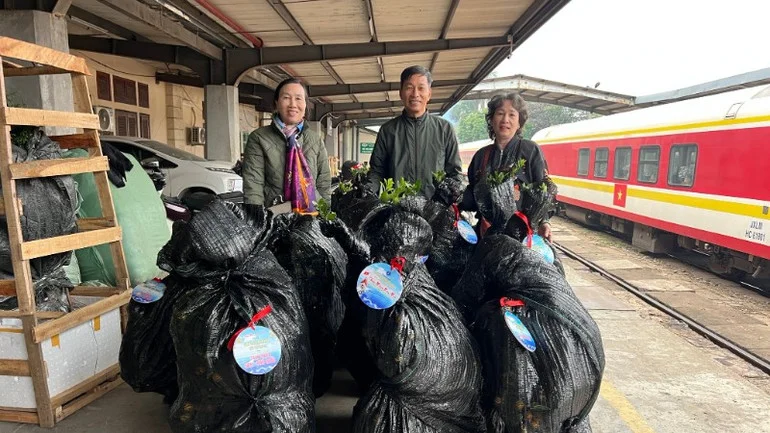 Những chuyến tàu chở mùa xuân từ đất liền ra đảo