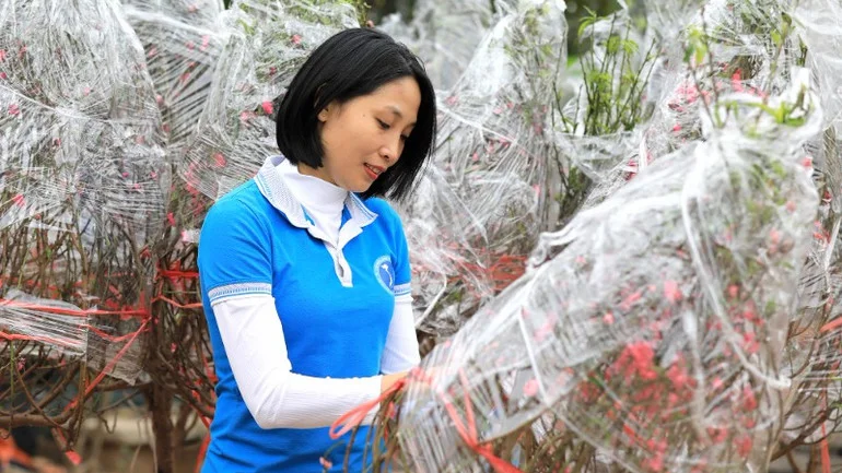 Những chuyến tàu chở mùa xuân từ đất liền ra đảo