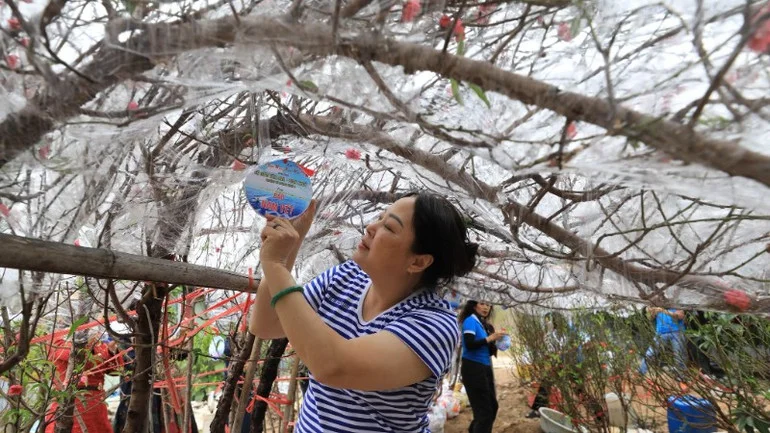 Những chuyến tàu chở mùa xuân từ đất liền ra đảo