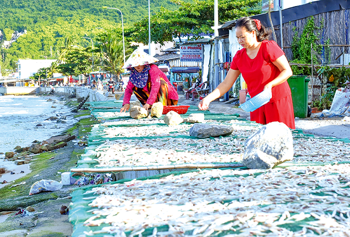 Hối hả làng khô An Giang vào vụ Tết