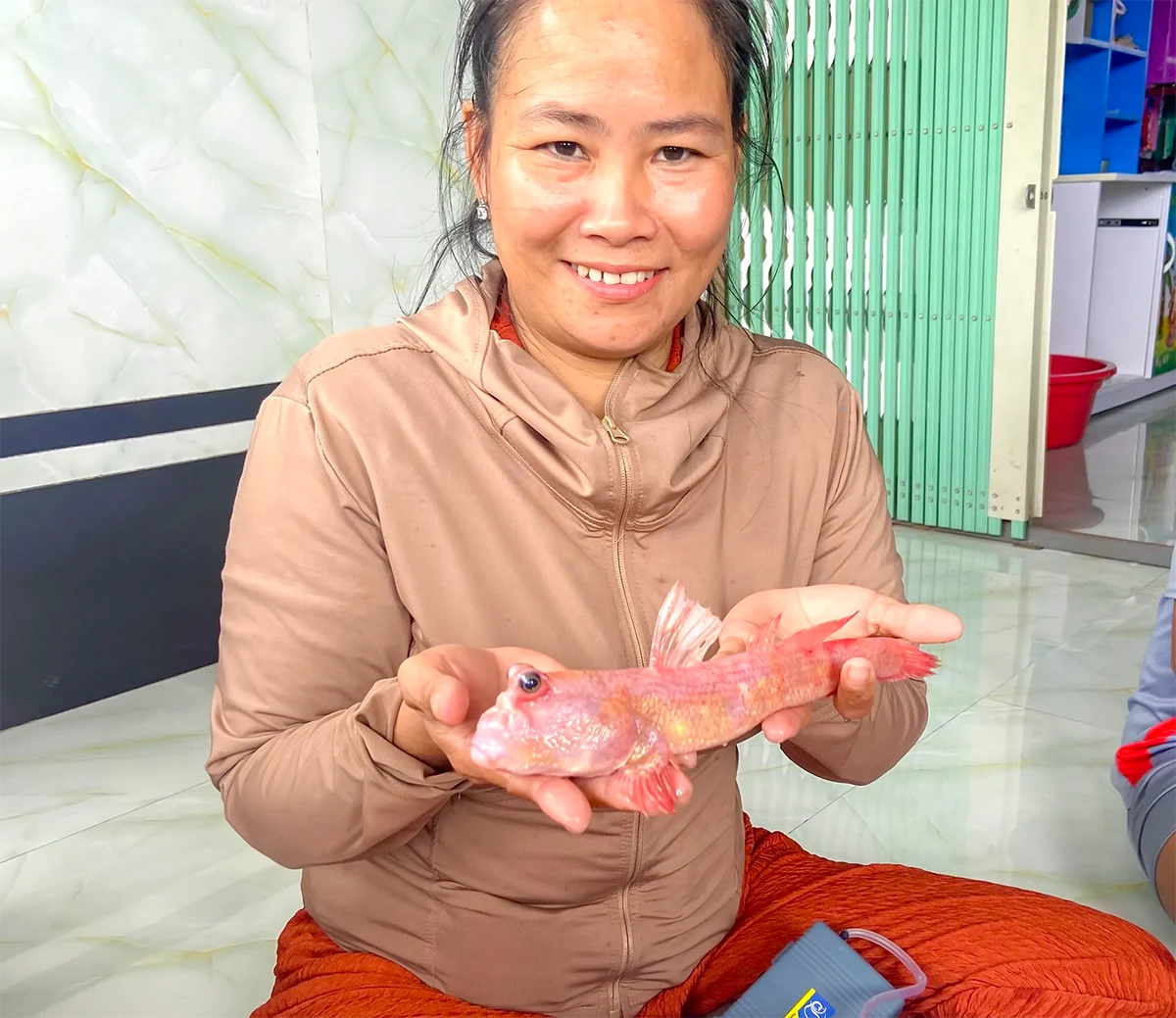Cà Mau: Cá thòi lòi màu hồng lạ mắt tại biển Đất Mũi
