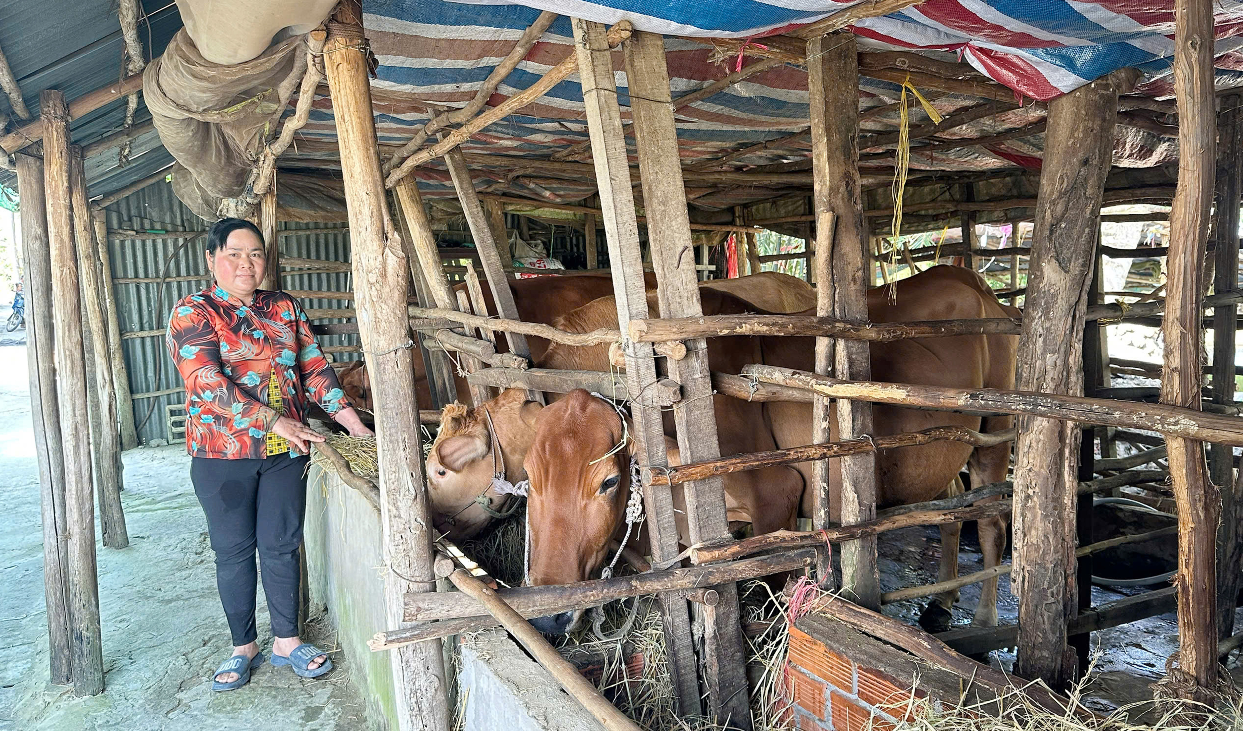 "ពោងសង្គ្រោះជីវិត" សម្រាប់អ្នកក្រ