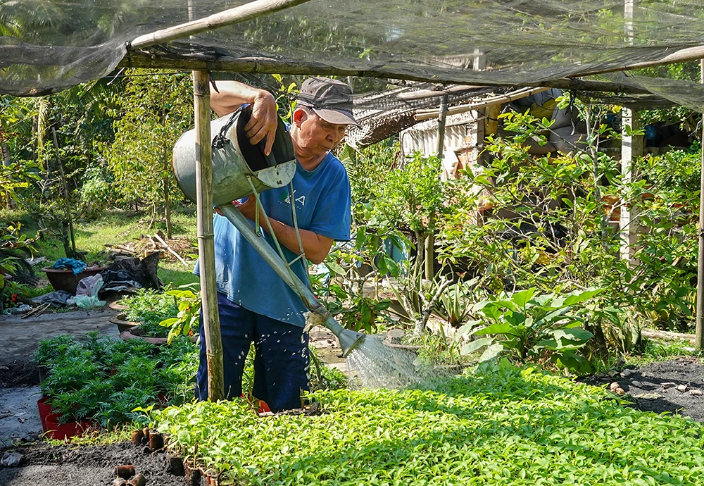 “Ươm mầm xanh” ở vàm Bà Hiệp
