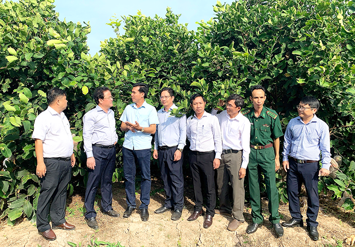 TP Cần Thơ sẽ quy hoạch lại để phát huy giá trị tài nguyên, nâng cao giá trị sản phẩm du lịch