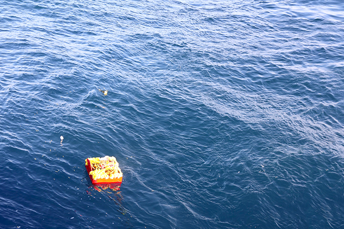 Cảnh sát biển Việt Nam thắp hương, tưởng niệm anh hùng liệt sĩ, ngư dân hy sinh vì biển, đảo