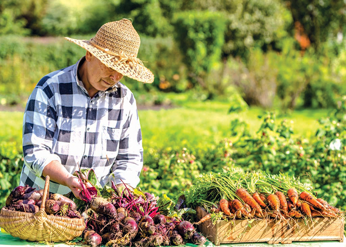 Thế giới trong xu hướng canh tác hữu cơ