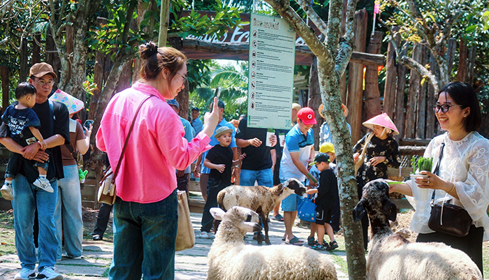 Cần Thơ đón khoảng 614.800 lượt khách trong dịp Tết Bính Ngọ năm 2026