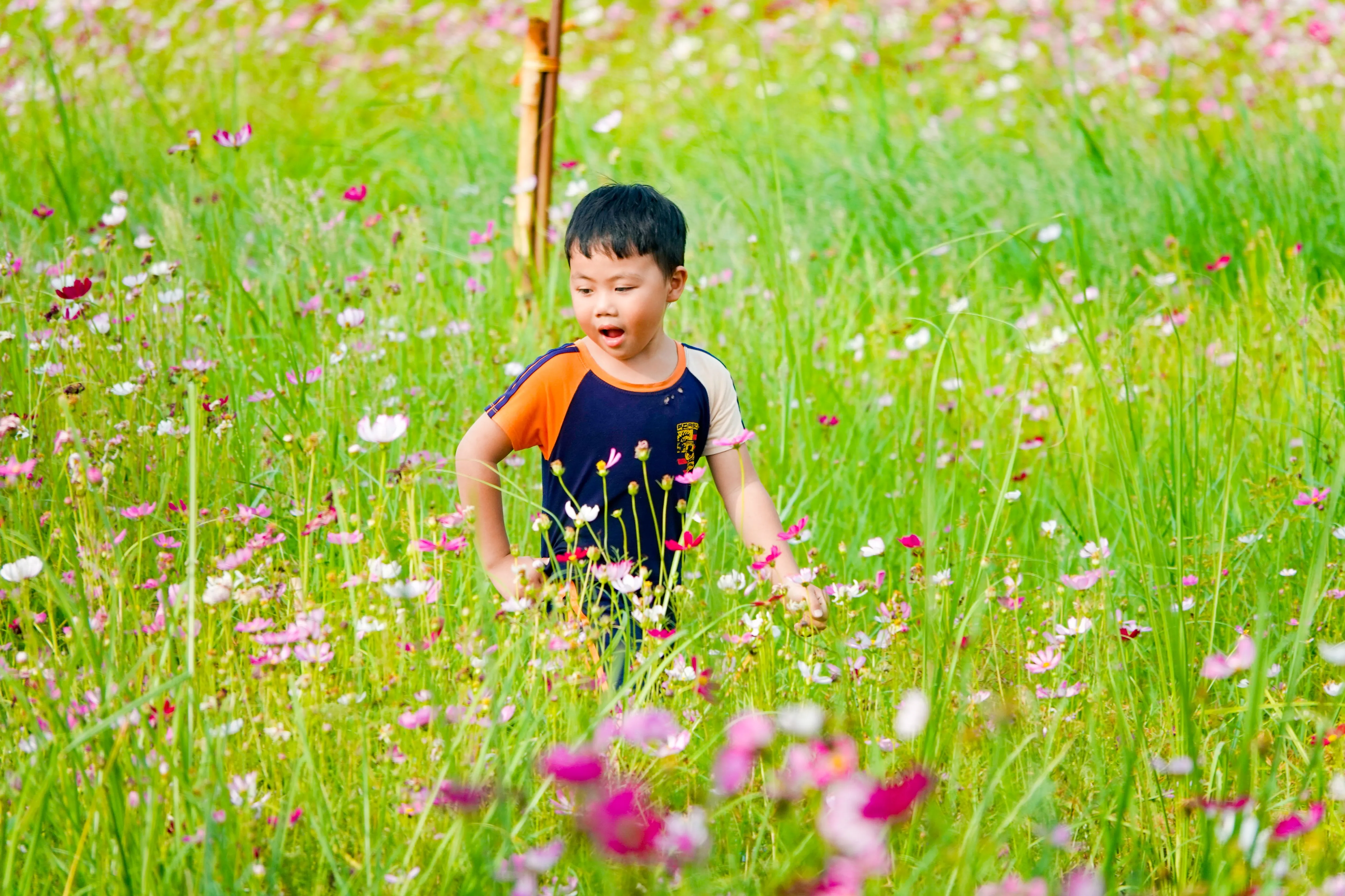 Lạc giữa ngàn hoa ngày đầu năm ở Cần Thơ