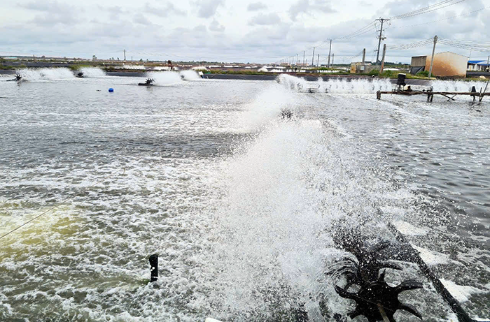 Cần Thơ chú trọng chuyển đổi số trong công tác quản lý nuôi trồng, khai thác thủy sản