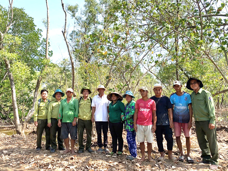 Khảo sát các cánh rừng phòng hộ ven biển