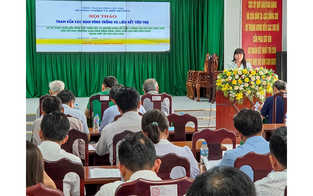 Thúc đẩy phát triển vùng lúa chất lượng cao và phát thải thấp