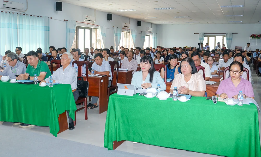 Thúc đẩy phát triển vùng lúa chất lượng cao và phát thải thấp