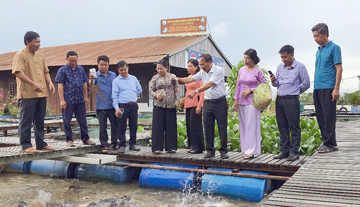 Nhiều hoạt động hỗ trợ nông dân phát triển kinh tế