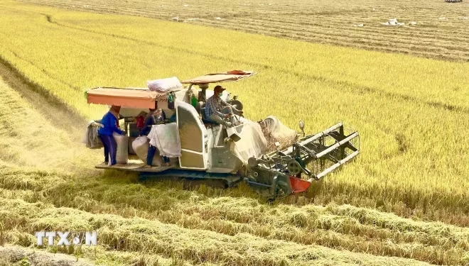 Kiên định “bốn nguyên tắc” để đạt tăng trưởng hai con số bền vững