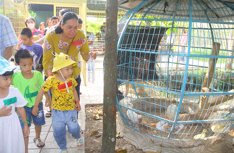 Trung tâm còn tổ chức các chương trình trải nghiệm, dã ngoại nhằm tạo môi trường thực tế cho trẻ và kết nối các gia đình.