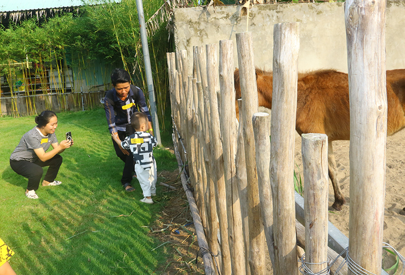 trẻ em được quan tâm và tiếp xúc hiều hơn với môi trường tự nhiên, gần gũi.