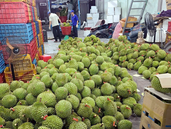 Phó Thủ tướng Hồ Quốc Dũng: Tập trung xây dựng cơ chế, chính sách hỗ trợ phát triển mã số vùng trồng và cơ sở đóng gói cho nông sản xuất khẩu