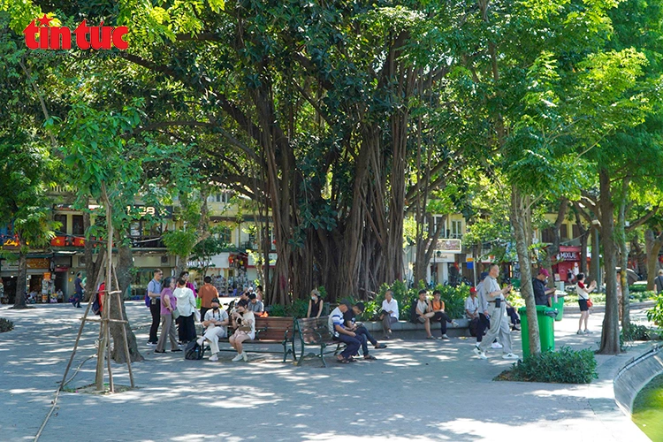 Nắng nóng cao điểm - nguy cơ về sức khỏe và những lưu ý với mỗi người dân