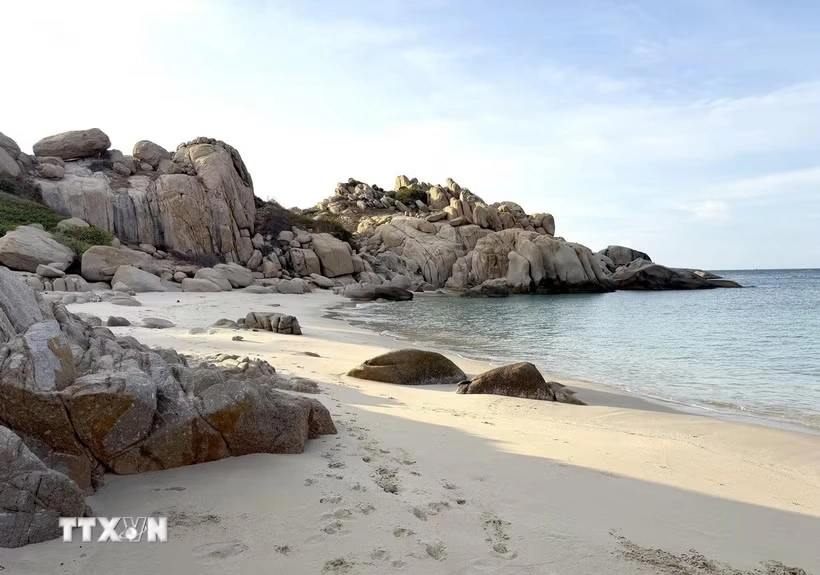 Hòn Cau - “viên ngọc xanh” giữa biển khơi hút bước chân du khách
